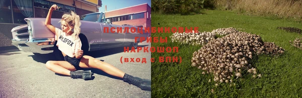 соль ск Володарск